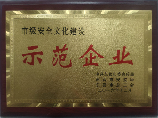 2016年12月市級安全文化師範企業