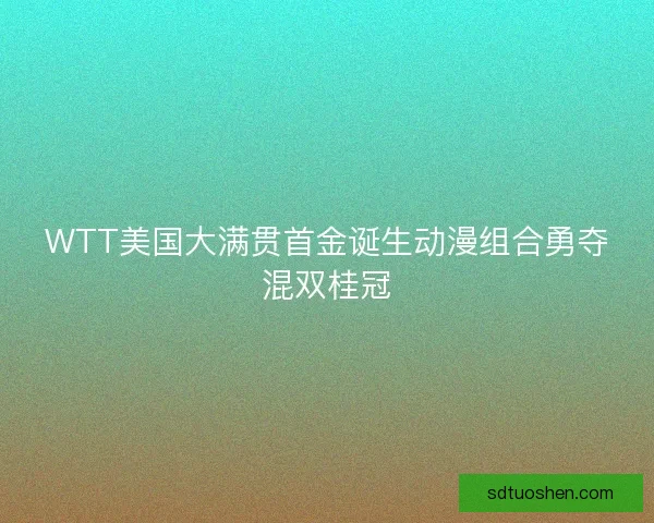 WTT美国大满贯首金诞生动漫组合勇夺混双桂冠